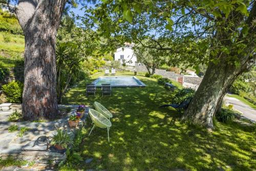 una vista sul soffitto di un cortile con piscina e due alberi di Villa A Ventosa a Bastia