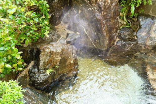 a stream of water with rocks and plants at 内竈ひなた庵 in Kamegawa