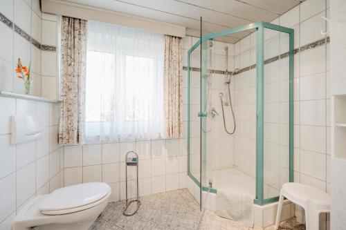 a bathroom with a toilet and a shower at Ferienwohnungen Knaus in Lam