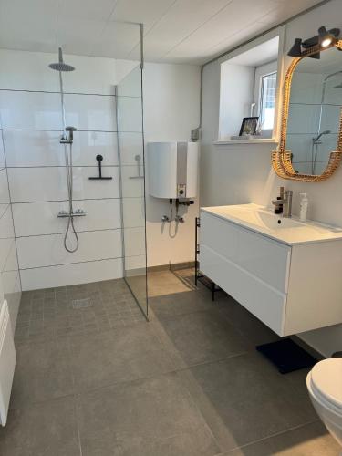a bathroom with a shower and a sink and a mirror at Beautiful cottage with ocean view in Esbjerg