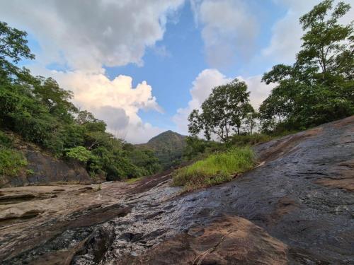a dirt road with trees on the side of a mountain at Mamalakandam - The White house, Diya homestay in Mamalakandam