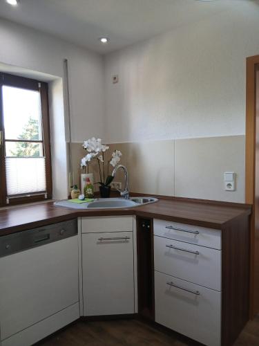 a kitchen with white cabinets and a sink and a window at Savor Appartement Bergblick für 6 Personen in Sohland