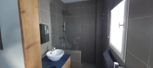 a bathroom with a sink and a shower at L'Atelier in Perpignan