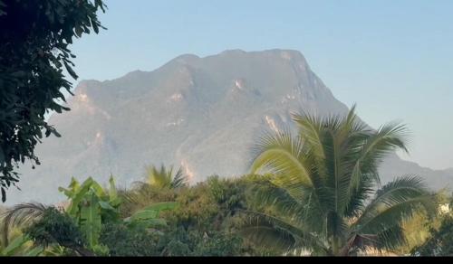 a mountain in the distance with palm trees in front at ม่อนหมอกเชียงดาว in Chiang Dao