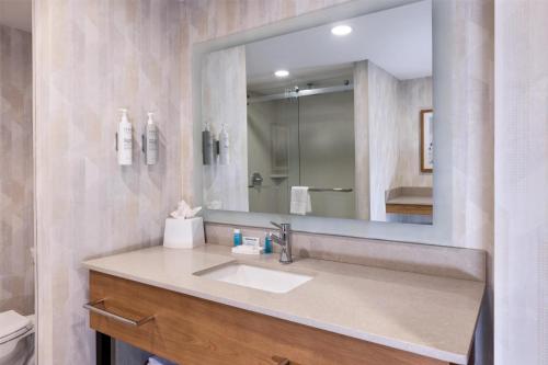 a bathroom with a sink and a mirror at Hampton Inn Lawrenceville Duluth in Lawrenceville