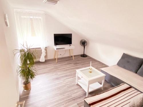 a living room with a couch and a tv at Haus Schwarzwald - Bad Krozingen in Bad Krozingen