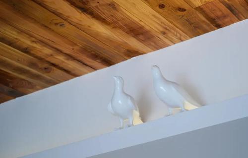 two white birds sitting on top of a shelf at Lu Ming Beiyuan Xi'an Zhongdu Drum Tower City Wall Store in Xi'an