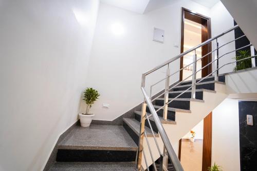 a staircase in a house with a plant at Lime Tree Two BHK Service Apartment Golf Course Road Gurgaon in Gurgaon