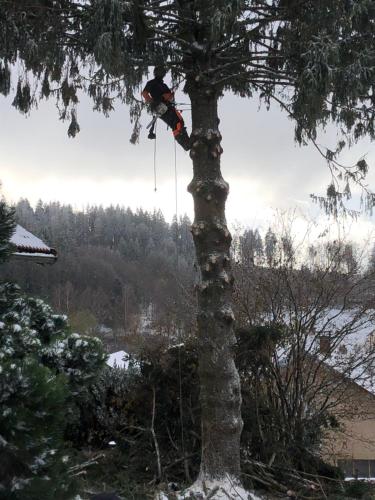 a person hanging from a tree with a rope at Chalet Belfahy in Belfahy