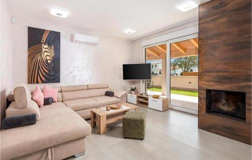 TV a/nebo společenská místnost v ubytování Stunning Home In Bibici