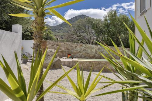 a view from the garden of a house with a plant at E Case D’Olivia Casa 1 in Monticello