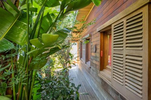 ein Hausflur mit vielen Pflanzen in der Unterkunft Maison E Tre Petre in Valle-di-Campoloro
