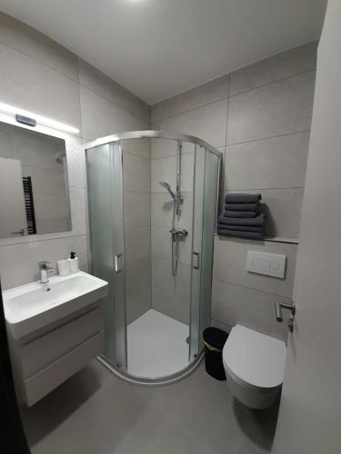 a bathroom with a shower and a toilet and a sink at Penzion Klas in Měřín