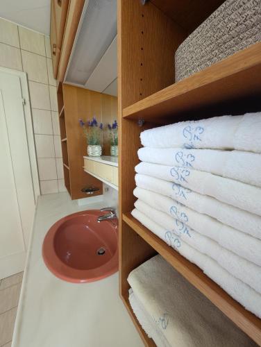 a bathroom with a sink and towels on a shelf at Gartenoase in Göppingen