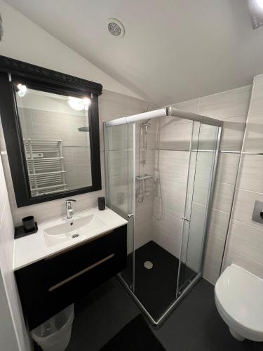 Quint-FonsegrivesにあるAmarilloのシャワー、洗面台、トイレ付きのバスルーム