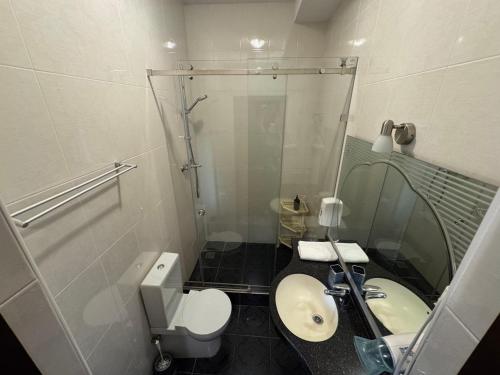 a bathroom with a sink and a toilet and a mirror at Hotel Lavilia in Kyiv