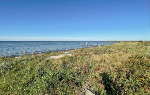 a beach with a pier in the middle of the water at 2 Bedroom Nice Home In Harpelunde in Harpelunde