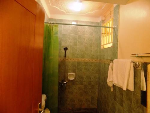 baño con ducha con cortina verde en Palm Springs Hotel Masaka en Masaka