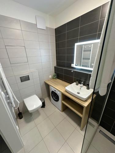 a bathroom with a toilet and a sink and a washing machine at Lipno Loft - Korzo in Lipno nad Vltavou