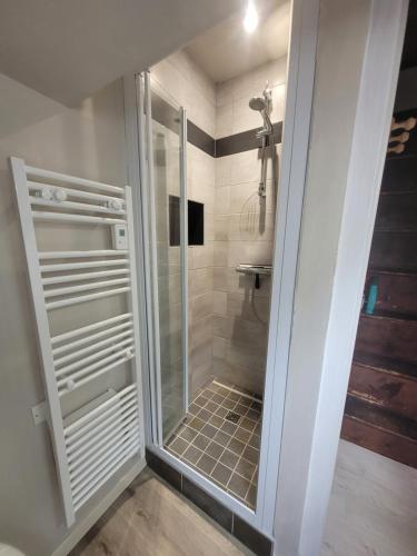 a shower with a glass door in a bathroom at LES AGUDES Télécabine 10min à pied in Cauterets