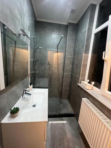 a bathroom with a sink and a shower at A little love nest in Brussels