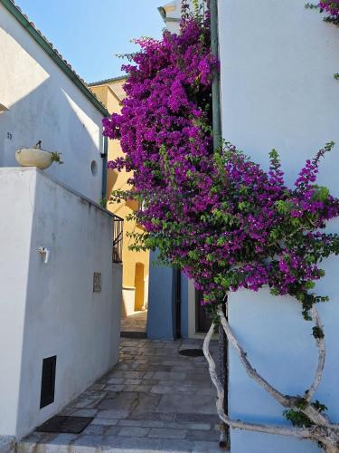 a bunch of purple flowers hanging from a building at Camera con Vista in Termoli