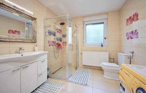 a bathroom with a shower and a sink and a toilet at Stunning Home In Strigova With Wifi in Štrigova