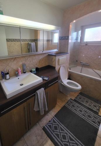 a bathroom with a sink and a toilet and a tub at 5,5 pc apartment, garden but Pool only upon request in Avry