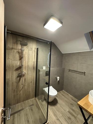 a bathroom with a shower with a toilet and a sink at Casa David Valea Avrigului in Avrig