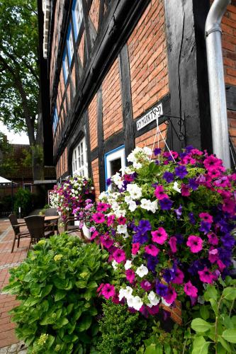 a bunch of flowers in front of a building at Hotel Marktkieker in Großburgwedel