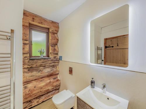 a bathroom with a toilet and a sink and a mirror at Hollacombe Lodge in Colebrooke