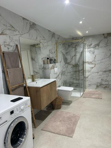 a bathroom with a sink and a washing machine at Maison Colmar, spacieuse, accueillante , confortable au calme in Colmar