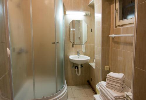 a bathroom with a shower and a sink at Accommodation Zara in Vukovar