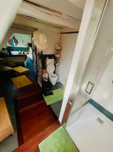 a bathroom with a toilet in a room at Chez Litchee in Vendenheim