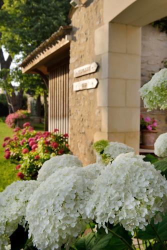a bunch of white flowers in front of a building at La Baronnie Hôtel & Spa - Teritoria in Saint-Martin-de-Ré
