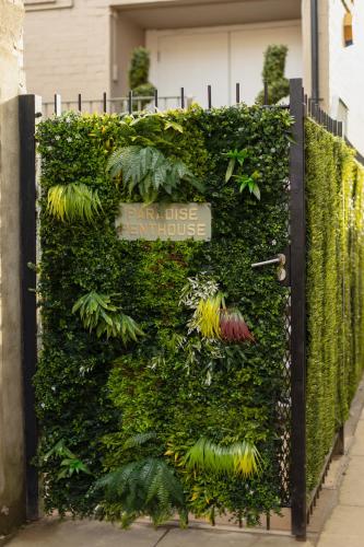 a green wall with plants and a sign on it at Paradise Penthouse in Downham Market