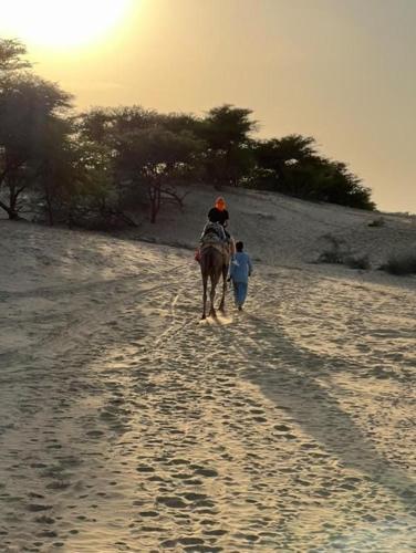 a couple of people riding a horse on a beach at Relax Inn Jaisalmer in Jaisalmer
