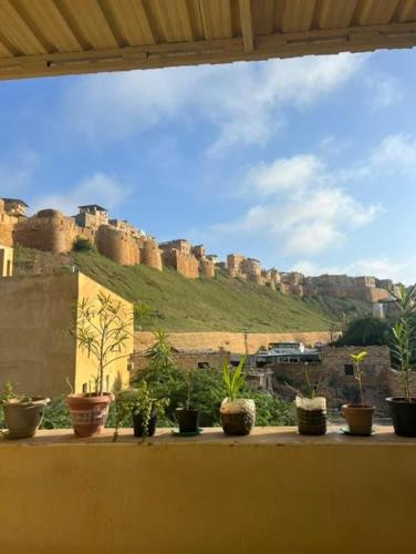 a row of potted plants sitting on a ledge with a castle at Relax Inn Jaisalmer in Jaisalmer