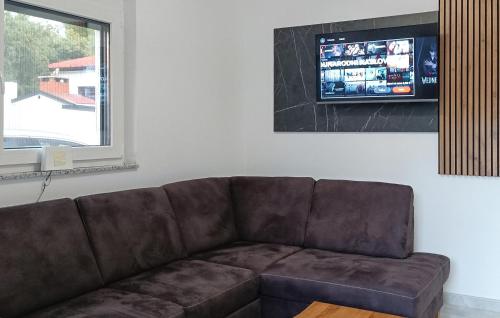 a brown couch in a living room with a tv at 2 Bedroom Awesome Apartment In Seline in Jurlina