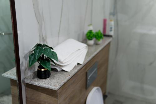 a bathroom counter with a potted plant on it at Penta Square Signature Apartments DHA Phase 5 Lahore in Lahore