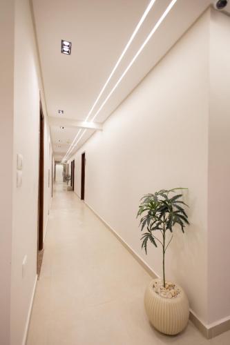 a plant in a pot in a hallway at Imperial Luxury Hotel in Cairo