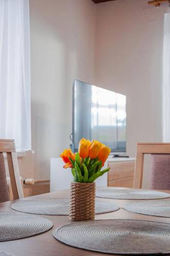 TV a/nebo společenská místnost v ubytování Ubytovanie u Vlada