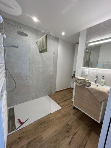 a bathroom with a shower and a sink at Les gites saint Laurent - l'élégante in Mouy