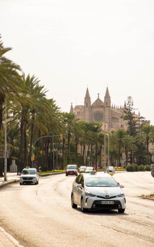 Urban Hostel Palma - Albergue Juvenil - Youth Hostel photo 2