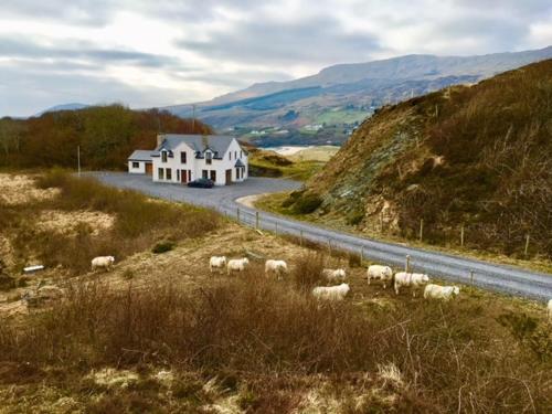 a herd of sheep grazing on the side of a road at Island Hill House, Beautiful, modern, 6 bed home in Saint Catherines