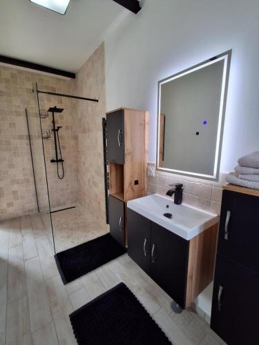 a bathroom with a sink and a shower with a mirror at Gîte du Bois la Dame in La Capelle-en-Thiérache