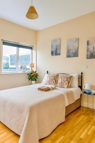 a bedroom with a large bed and a window at Heron Gate Comfort, Park and Pillow in Cork