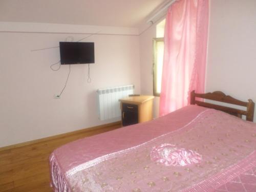 TV a/nebo společenská místnost v ubytování Guest House Seno