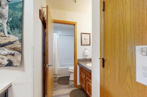a bathroom with a toilet and a sink at Blue River Escapade in Breckenridge