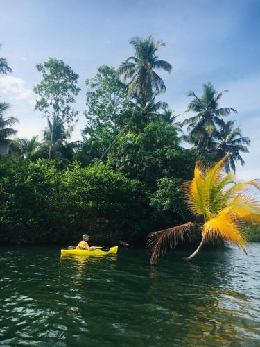 a man in a yellow kayak in the water with a palm tree at Samadhi Lagoon Villa in Rathgama